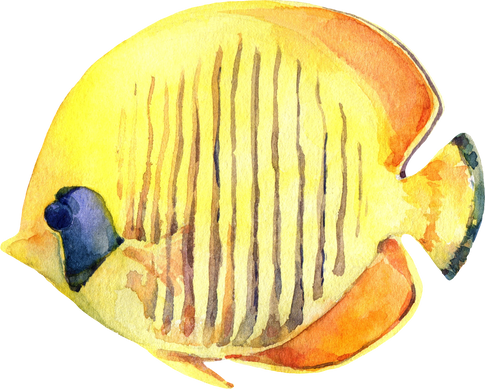 Watercolor Bluecheek Butterflyfish