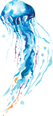 Blue Jellyfish Illustration