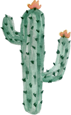 Watercolor Cactus Shape.